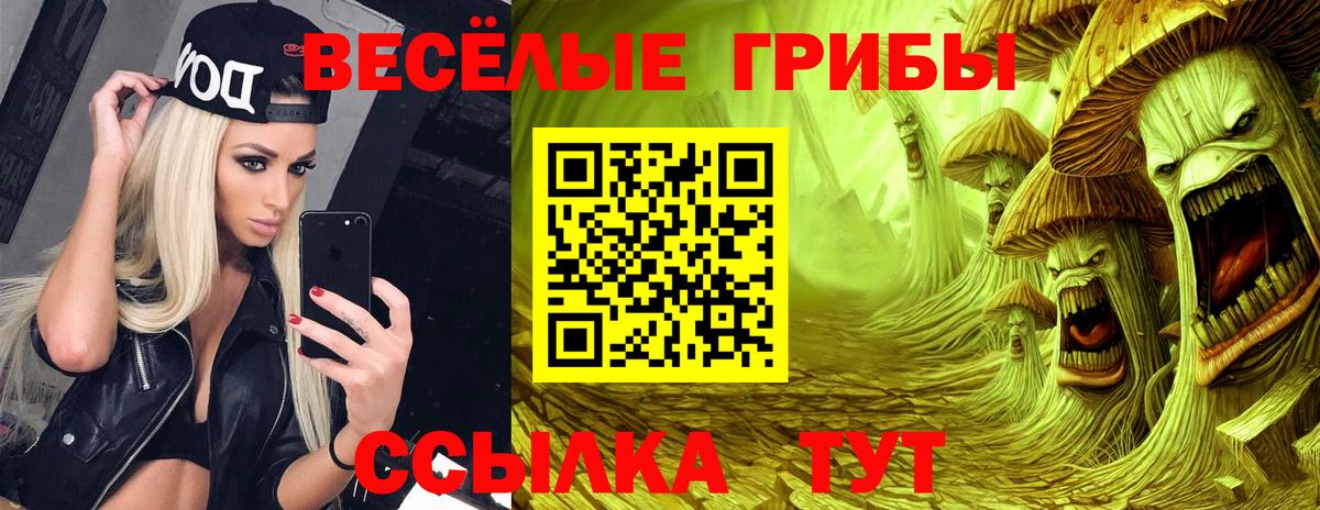 Ачхой-Мартан  Галлюциногенные грибы Magic Shrooms  Вход с VPN 