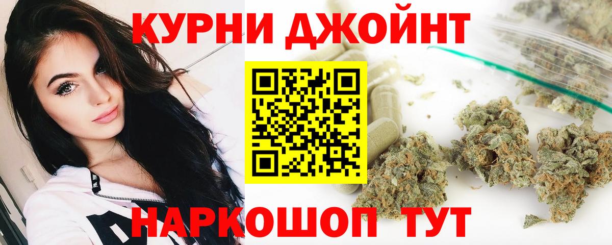 Каннабис OG Kush Ачхой-Мартан